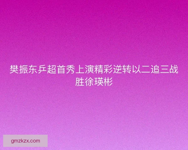 樊振东乒超首秀上演精彩逆转以二追三战胜徐瑛彬